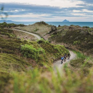 Motu Trails Cycleway