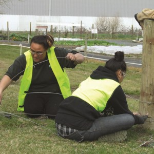 Tokoroa Trade Training Centre