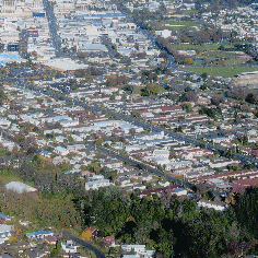 Waikato Means Business